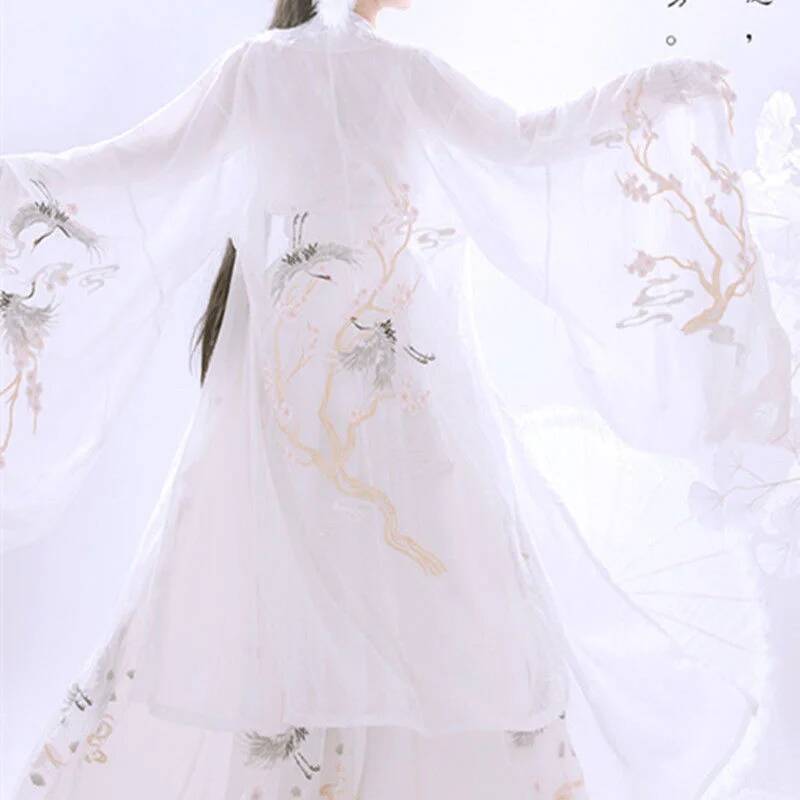 Chinese Ancient Hanfu Women's  - Embroidery Cotton Shirt review and price